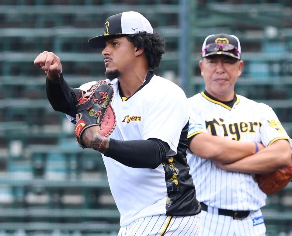 １軍に昇格し、ノックを受けるマルテ（撮影・田中太一）