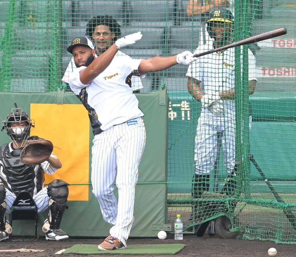 マルテ（後方左）とロハス（同右）が見守る中、フリー打撃で快音を響かせるロドリゲス（撮影・高部洋祐）