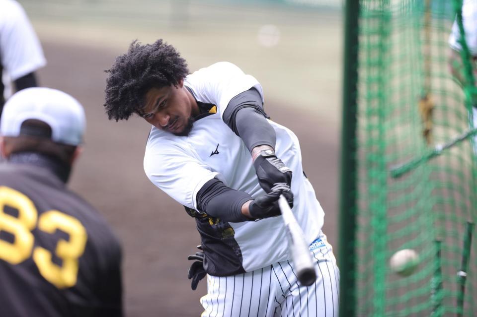 ティーバッティングをするマルテ（撮影・坂部計介）