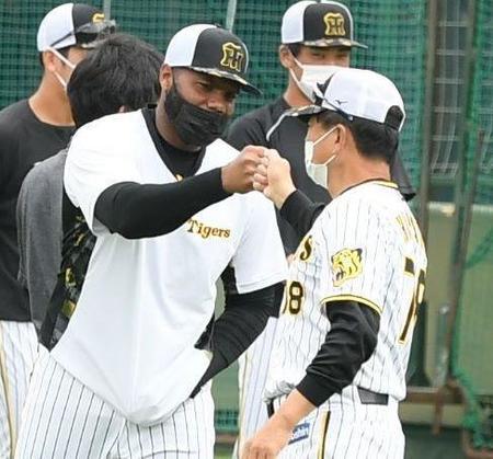 　練習前に平田２軍監督とタッチをかわすロドリゲス（撮影・石井剣太郎）