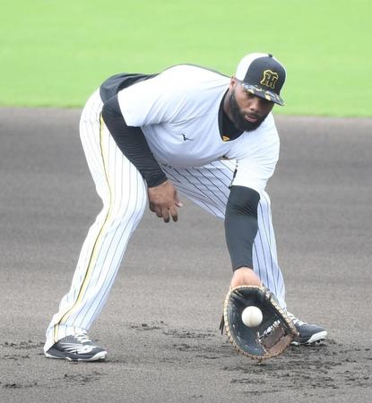 　ノックを受けるロドリゲス（撮影・石井剣太郎）