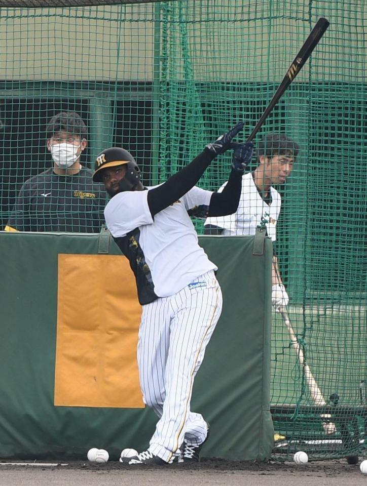 　打撃練習するロドリゲス（撮影・石井剣太郎）