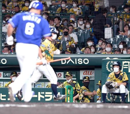 　１１回、勝ち越しを許した後、平田（手前）にもソロを許し、ぼう然とする矢野監督（撮影・田中太一）