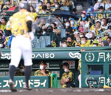 　２回、三塁でアウトとなりベンチへ戻る糸原（手前）を見ることなくぼう然とする矢野監督（右）と井上コーチ（撮影・田中太一）