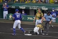 　２回、糸原は陽川の右飛で三塁に戻れずアウトとなる（撮影・神子素慎一）