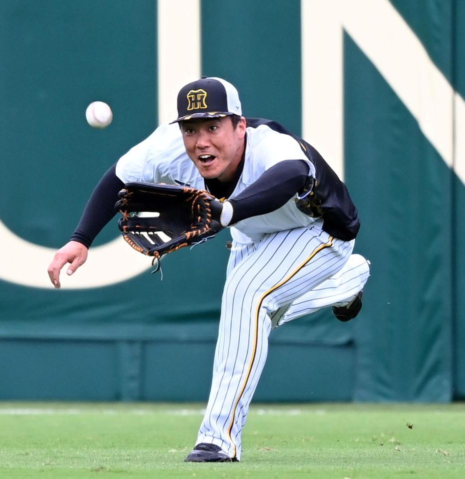 　ノックを受ける陽川（撮影・山口登）