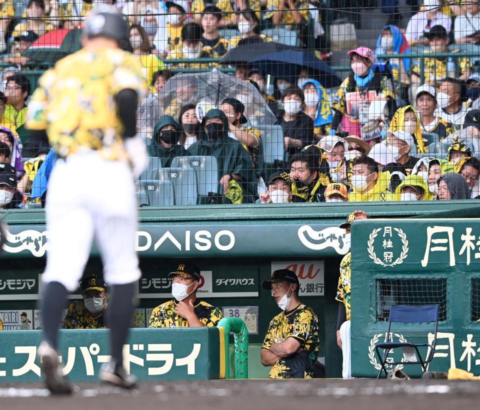 　２回、三塁でアウトとなりベンチへ戻る糸原（手前）を見ることなくぼう然とする矢野監督（右）と井上コーチ（撮影・田中太一）