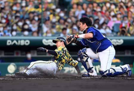 １回、近本は本塁へ盗塁を決める（撮影・山口登）