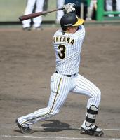 　８回、左翼ポール際へのファウルを放つ大山（撮影・石井剣太郎）