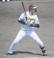 ４回、見逃し三振に倒れた大山（撮影・石井剣太郎）