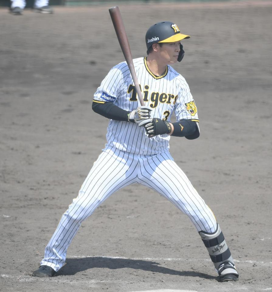 ４回、見逃し三振に倒れた大山（撮影・石井剣太郎）