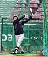 打撃練習する大山（撮影・山口登）