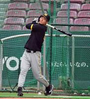 　打撃練習をする佐藤輝（撮影・山口登）