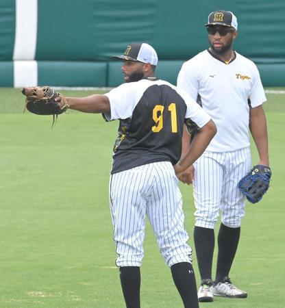 　試合前、ロハス（右）と共に球場の雰囲気をチェックするロドリゲス（撮影・高部洋祐）