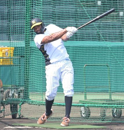 　試合前、フリー打撃で快音を響かせるロドリゲス（撮影・高部洋祐）