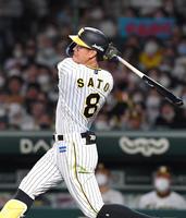 　６回、２ランを放つ佐藤輝（撮影・北村雅宏）