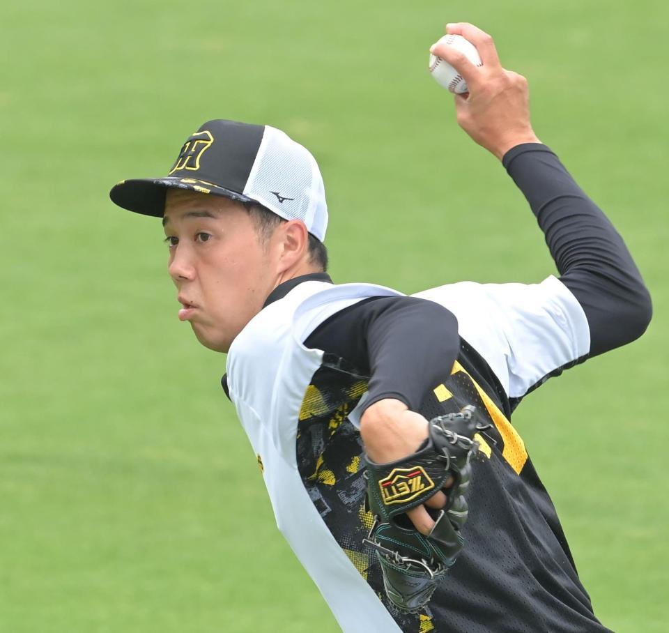 　試合前、キャッチボールする青柳（撮影・高部洋祐）