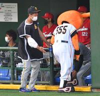 　４回、グラウンドからの退場が遅れ、試合を止めたジャビット（中央）を三塁ベンチ内へ誘導する阪神・森木（左）＝（撮影・吉澤敬太