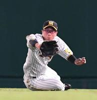 　５回、嶺井の打球を前進して好捕する近本（撮影・北村雅宏）