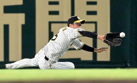 　５回、嶺井の打球を好捕する近本（撮影・高部洋祐）