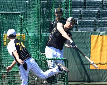 　早出特打する佐藤輝（撮影・山口登）