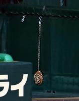 　お好み焼きをかたどったメダル（撮影・山口登）