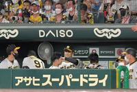 　７回、三者連続三振を奪った浜地（中央）はベンチで笑顔を見せる（撮影・北村雅宏）