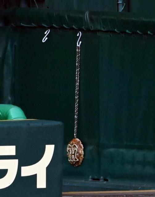 もはやメダル？阪神の「虎メダル」がまた進化　関西名物仕様に伊藤将ニヤリ