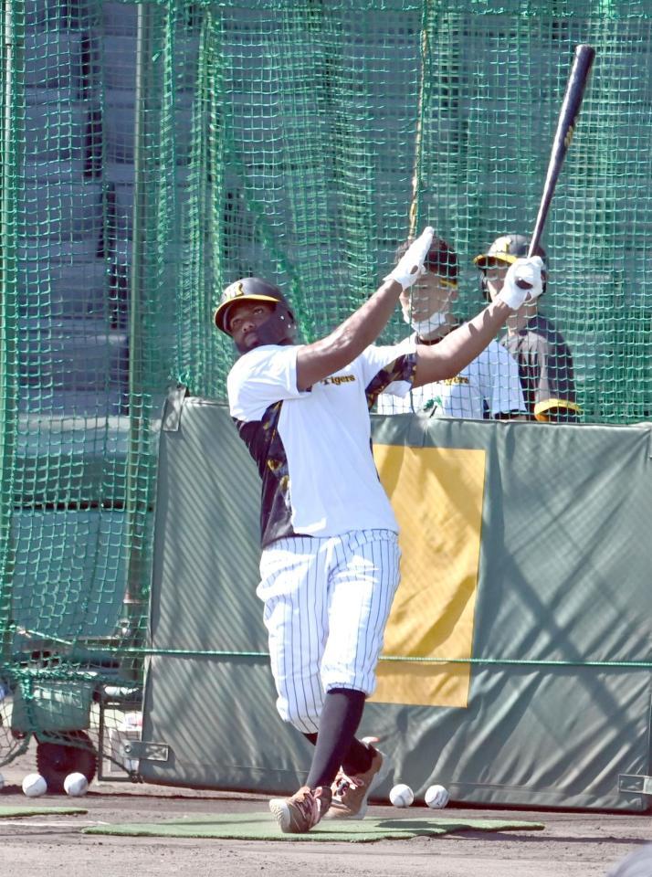 　打撃練習するロドリゲス（撮影・山口登）