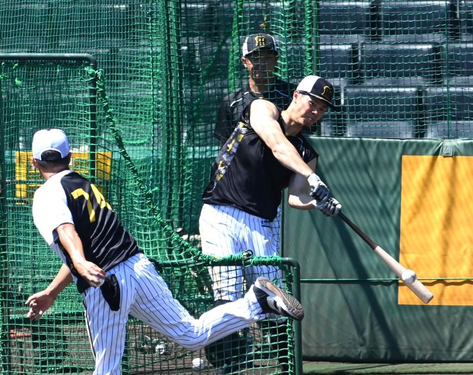 　早出特打する佐藤輝（撮影・山口登）