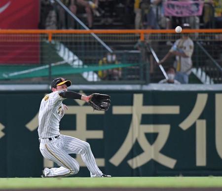 　６回、スライディングキャッチする近本（撮影・北村雅宏）