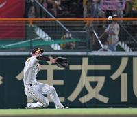 　６回、スライディングキャッチする近本（撮影・北村雅宏）