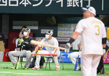 　本塁打競争に登場した西武・山川（手前左）の打球を見つめる阪神・大山（左端）＝撮影・堀内翔