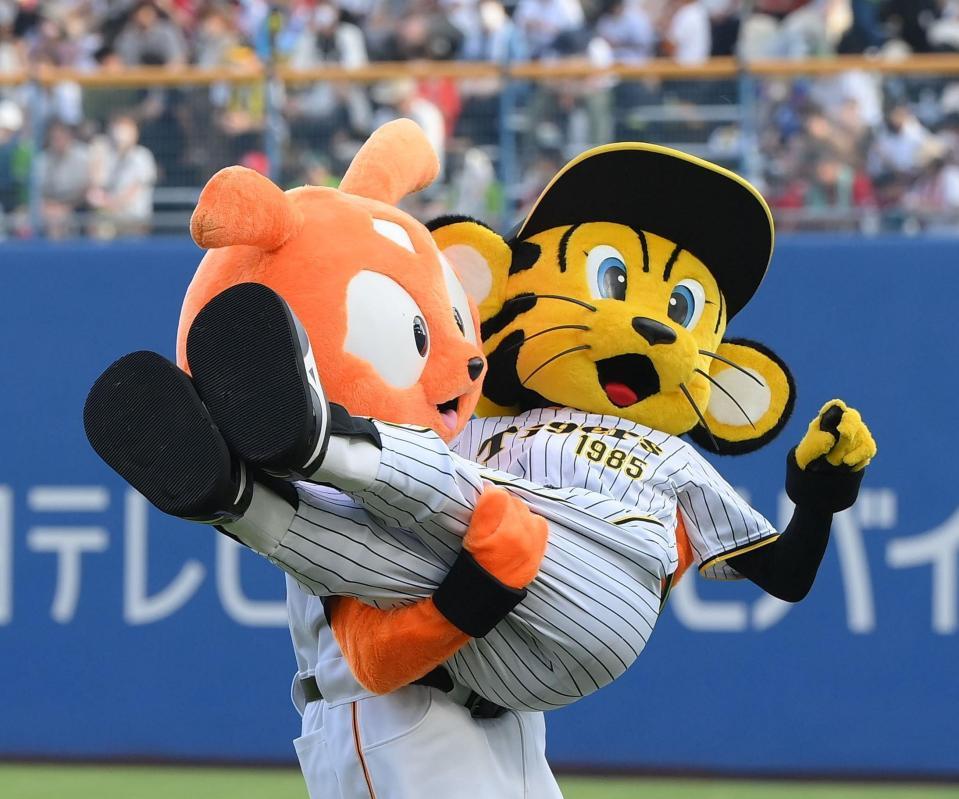球宴の試合前にマスコットも盛り上げる ジャビットがトラッキーをお姫様抱っこから投げ捨てる 阪神タイガース デイリースポーツ Online