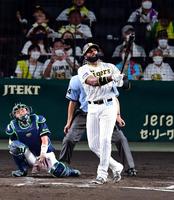 　４回、ロドリゲスは左中間にソロを放つ（捕手・中村）＝撮影・山口登