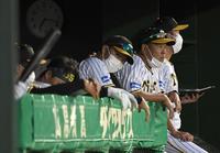 　５回、戦況を見守る野村２軍バッテリーコーチ（右から２人目）＝撮影・石井剣太郎