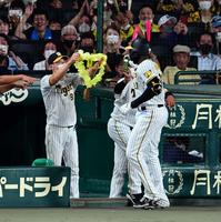 　４回、矢野監督はソロを放ったロドリゲスにメダルを掛ける（撮影・山口登）