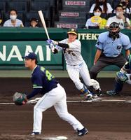 　１回、近本は右前に先制適時打を放つ（投手・小川）＝撮影・山口登