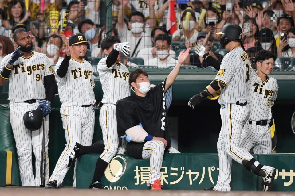 　８回、ソロを放った大山を迎える西勇ら阪神ベンチ（撮影・田中太一）