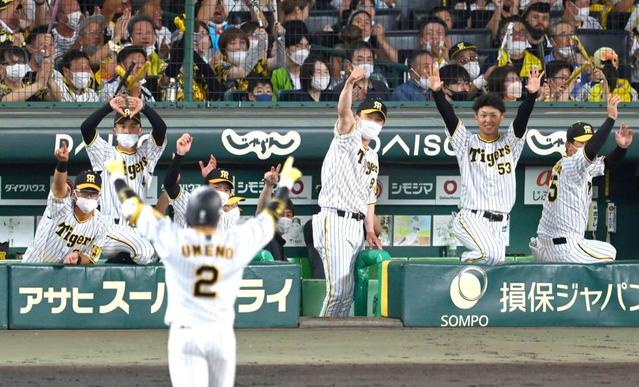 猛虎猛追！阪神ついにゲーム差１桁 下位打線爆発で連勝決めた １６戦で８差縮める大反攻/阪神タイガース/デイリースポーツ online