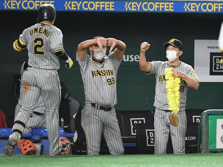 　５回、３号ソロを放った梅野（左）をガッツポーズで迎える矢野監督（右）＝撮影・佐藤厚