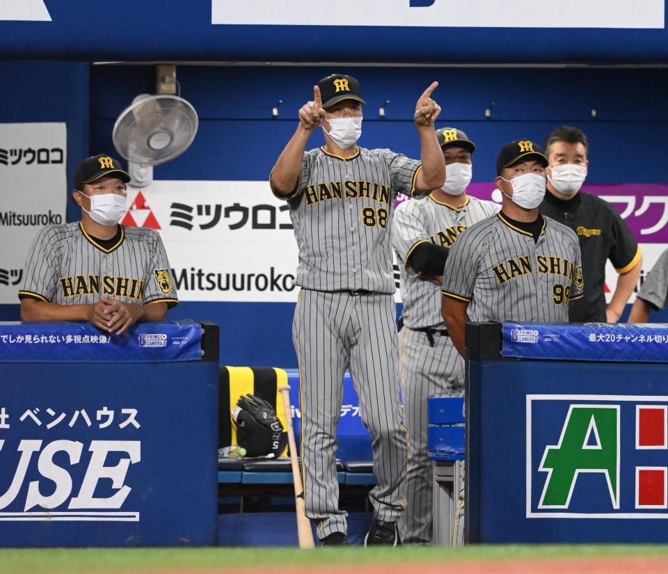 　９回、リプレー検証を要求する矢野監督（撮影・堀内翔）