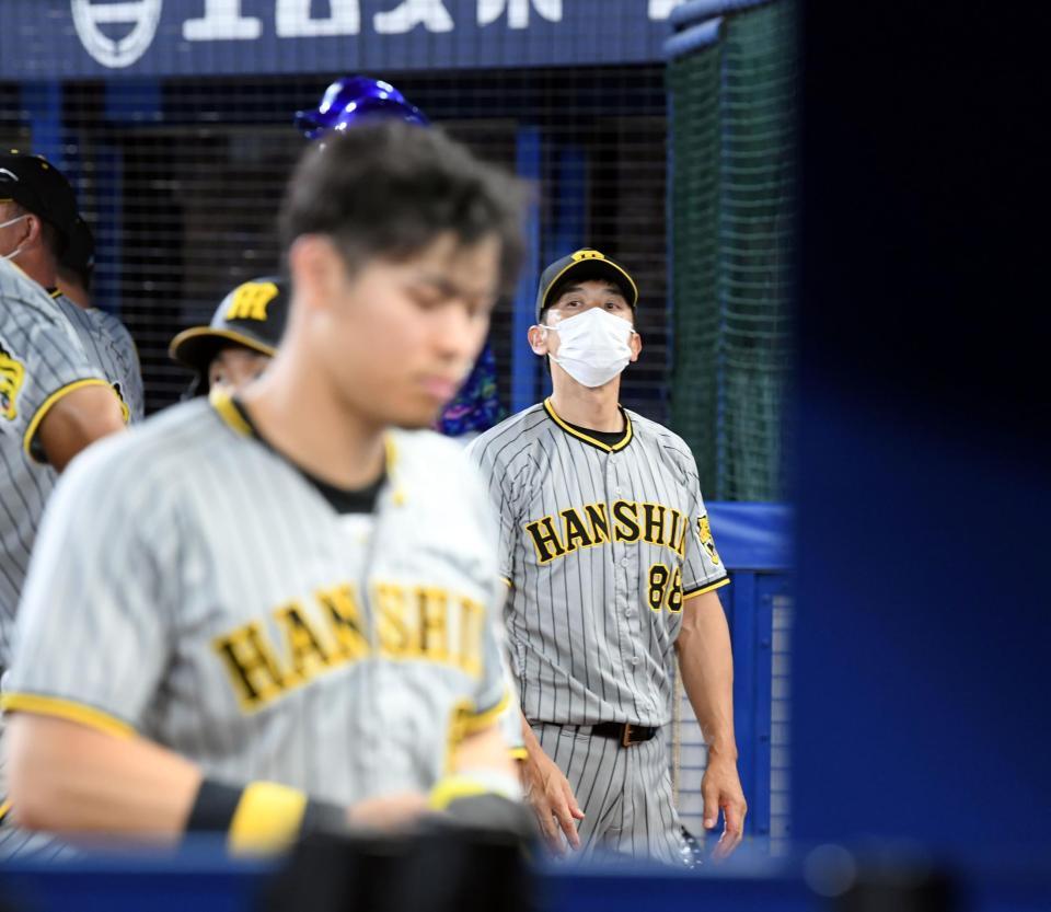 　９回、最後の打者となったロハス・ジュニアの打球を見上げる矢野監督。手前は佐藤輝（撮影・田中太一）