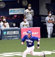 　８回、木下が２ランを放ち矢野監督は打球を見つめる（撮影・山口登）
