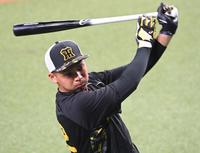 　１軍に合流し、打撃練習をする井上（撮影・田中太一）