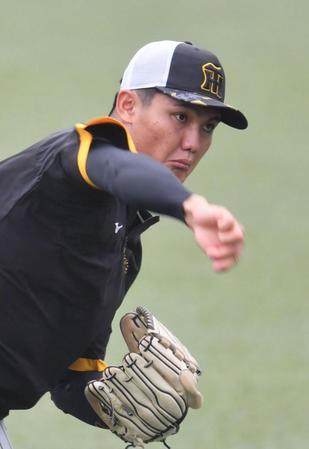 　キャッチボールをする西純（撮影・佐々木彰尚）