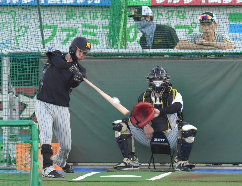 　フリー打撃で快音を響かせる中野（撮影・佐々木彰尚）