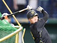 　打撃練習する大山（撮影・飯室逸平）