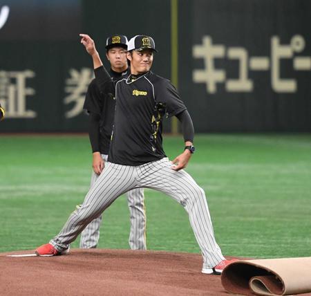 　マウンドの感触を確かめる藤浪ら（撮影・飯室逸平）