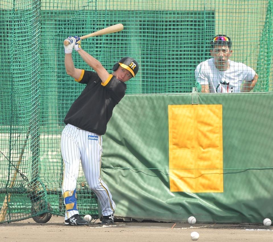 矢野監督（右）の前でフリー打撃を行う近本（撮影・吉澤敬太）